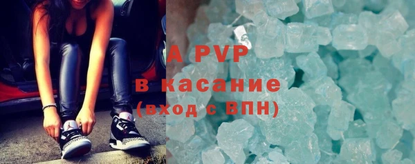 хмурый Пересвет