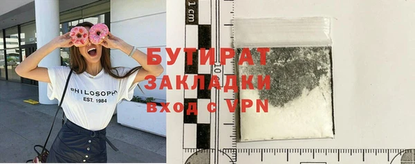 хмурый Пересвет