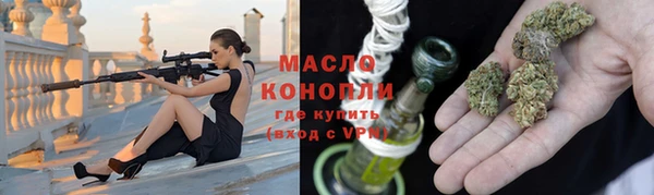 хмурый Пересвет