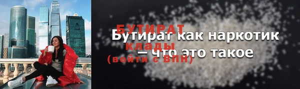 хмурый Пересвет