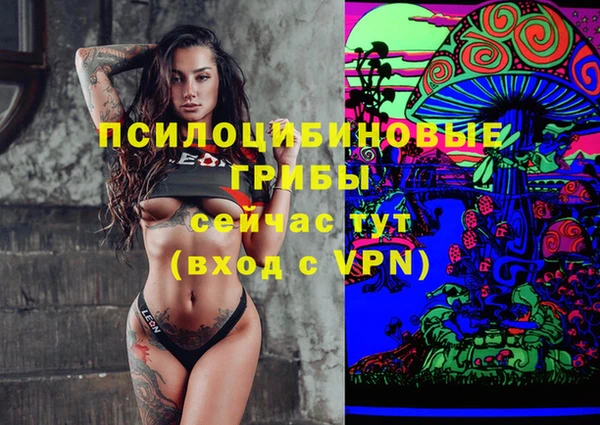 герыч Переславль-Залесский