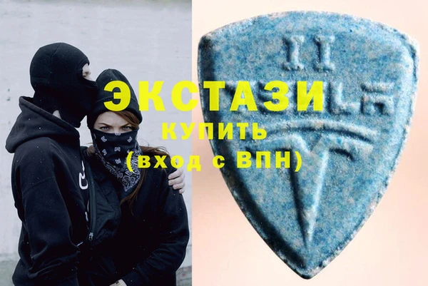 хмурый Пересвет