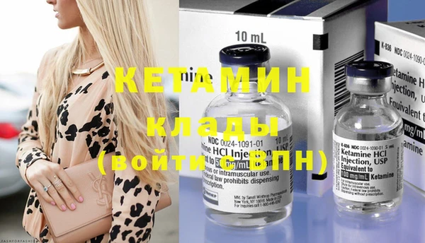 хмурый Пересвет