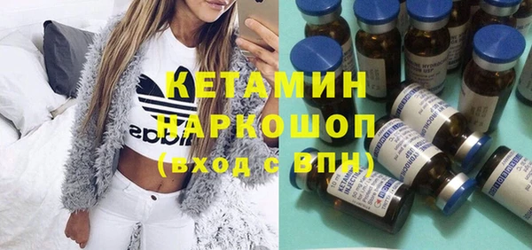 хмурый Пересвет