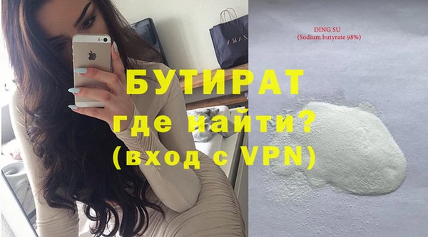 хмурый Пересвет