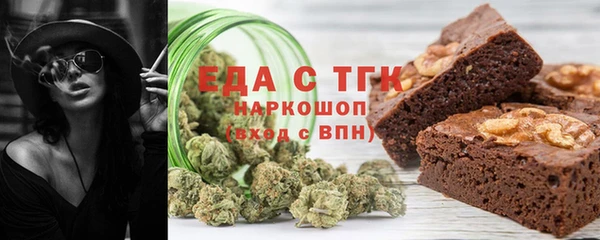 хмурый Пересвет