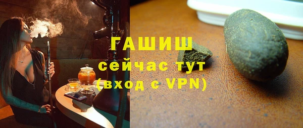 хмурый Пересвет