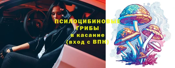 хмурый Пересвет